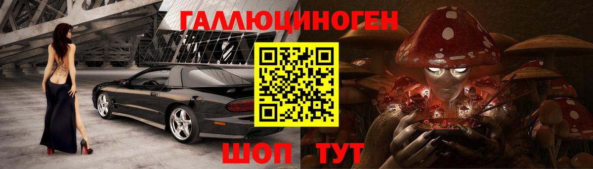 Галлюциногенные грибы Psilocybine cubensis Арсеньев